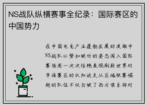 NS战队纵横赛事全纪录：国际赛区的中国势力